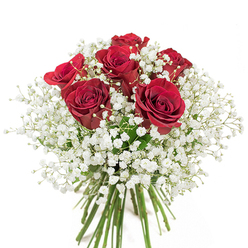 This handcrafted bouquet exudes classic elegance, thoughtfully fashioned by skilled florists near Crystal Palace Parade. Six sumptuous crimson red roses, their petals velvety and lavish, stand proudly at the arrangement's core, each in near-full bloom, radiating a deep hue symbolic of undying love. Enveloping these passionate blooms is an ethereal cloud of white baby's breath. The Gypsophila's multitude of tiny, feathery blossoms create a gentle halo, softening the intensity of the roses and bringing lightness akin to a cool morning mist rolling through Westow Park. The vivid, freshly cut stems gathered at the base reinforce the bouquet's premium quality and care-reflecting the pride local artisans take in every detail. Illuminated by crisp daylight, the vibrant reds and milk-white blossoms shine distinctly, giving the bouquet a celebratory aura. Ideal for expressing love, gratitude, or heartfelt congratulations, this stunning floral piece makes a lasting impression-delicate as the morning dew, yet powerful in sentiment. Whether presented for a special Crystal Palace anniversary or delivered as a spontaneous gesture of affection, this arrangement delivers an enduring message of tenderness, expertly echoing the community's timeless spirit and charm.